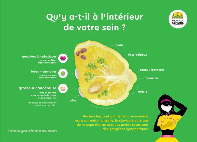 OCTOBRE ROSE, LE DEPISTAGE DU CANCER DU SEIN, UN GESTE IMPORTANT (3/3)