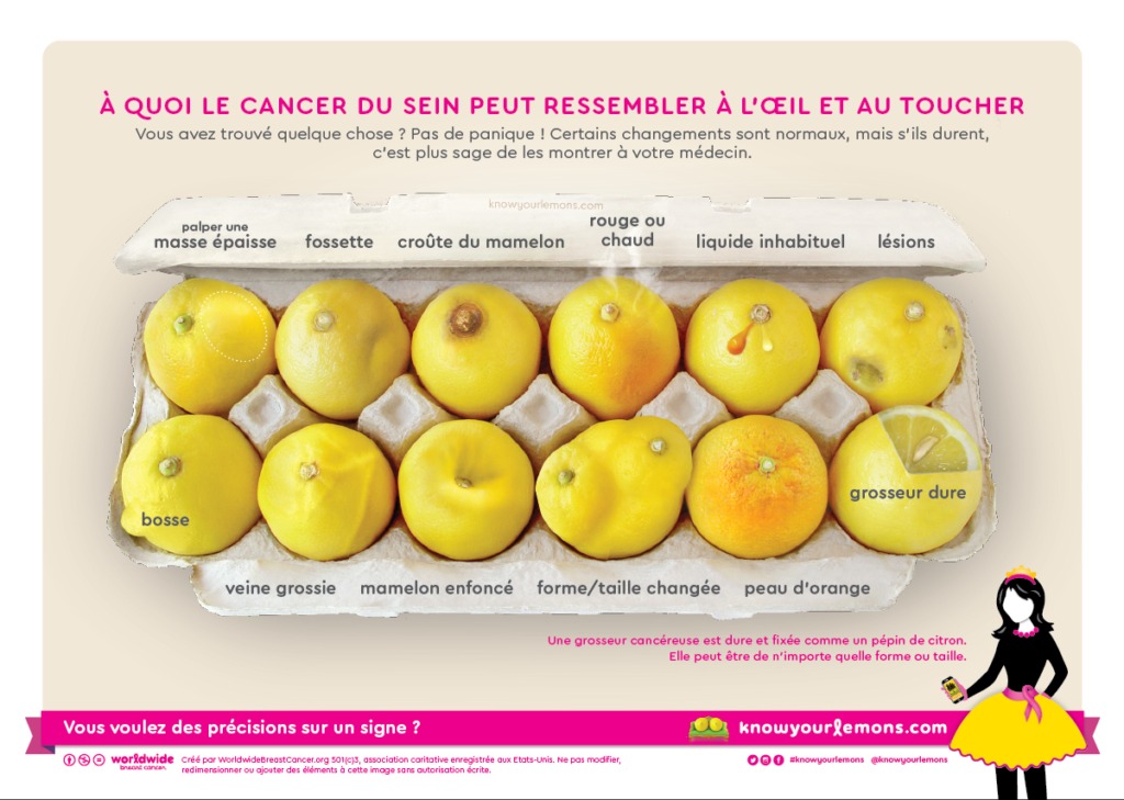 OCTOBRE ROSE, LE DEPISTAGE DU CANCER DU SEIN, UN GESTE IMPORTANT (2/3)